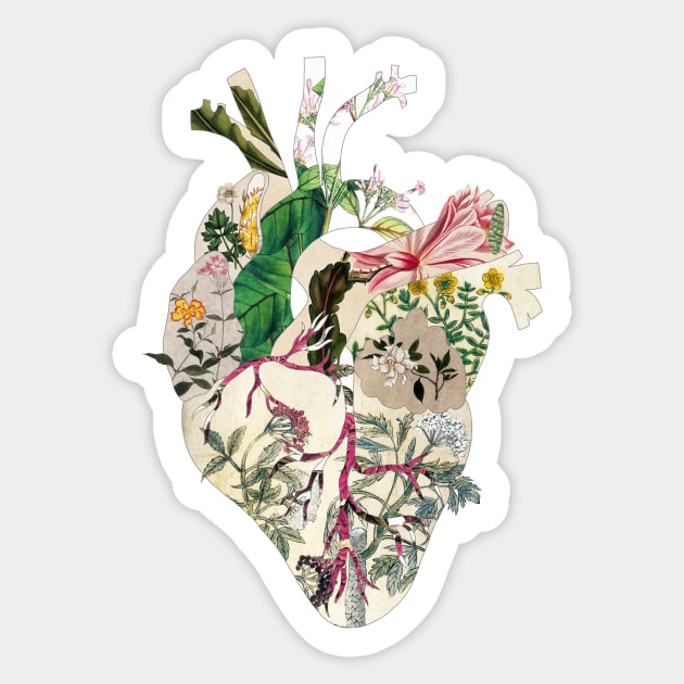 Vintage Botanical Heart Sticker by BiancaGreen